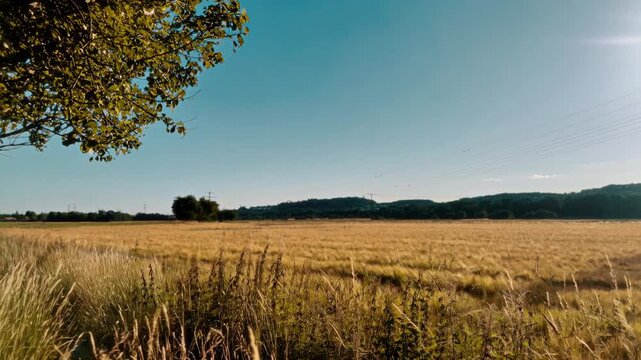 German Countryside