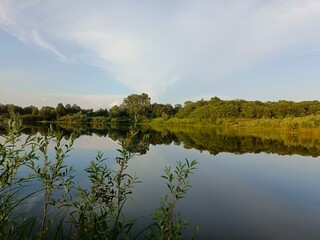 reflection of trees in water