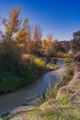 Scenic river flowing through a vibrant landscape with autumn trees on a clear day