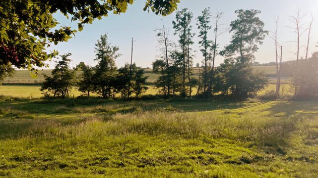 German Countryside