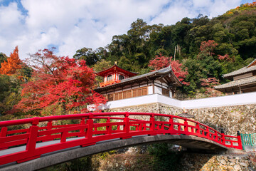 Red bridge to Ryuanji Kyakuden temple on hillside in fall, Osaka