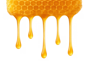 Golden honey dripping from a natural wax honeycomb creating sweet liquid drops, great for food and natural concepts
