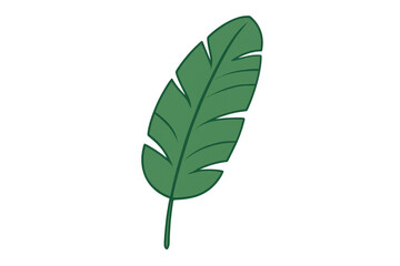 Green tropical leaf illustration on a transparent background, depicting nature, jungle, and summer season