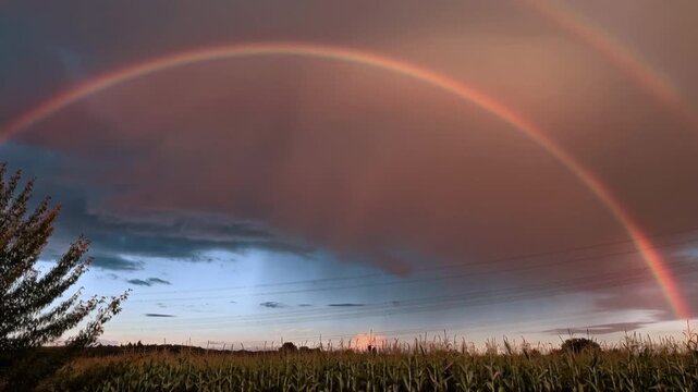 Beautiful Rainbow 