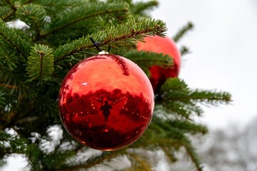 close up of reflections in a bright red christmas bauble hanging from a fir tree