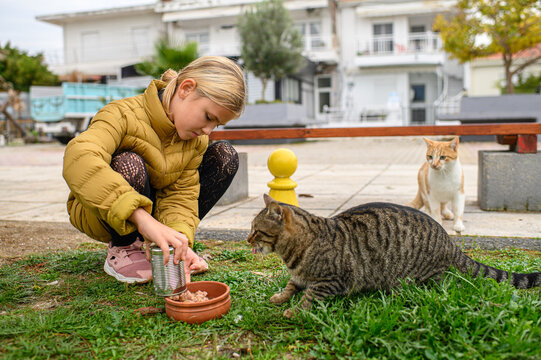 Children feeding stray cats outdoors, sharing food with homeless animals in a warm and candid moment of kindness and compassion on a quiet street.