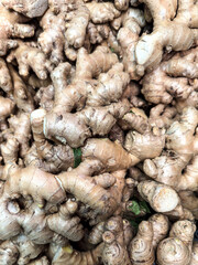 Fresh Ginger Roots Piled High for Cooking, Spices, Health, Flavor, and Kitchen Use