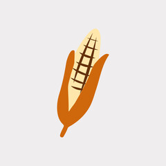 A Thanksgiving vector object illustration corn