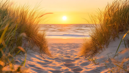 Golden sun sets over ocean horizon. Sandy dunes with tall dry grass frame beach and calm sea waves. Footprints on sand path lead toward tranquil water