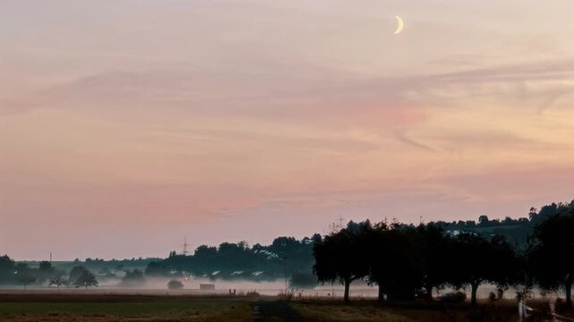 Beautiful Nature