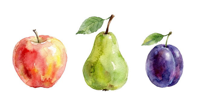 a set of fruits in the style of a watercolor painting.