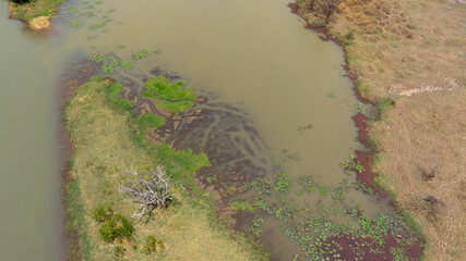 Close-up portrait of a giraffe in a wildlife sanctuary, highlighting its gentle expression and natural habitat.