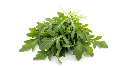 Fresh bunch of green arugula leaves isolated on white background