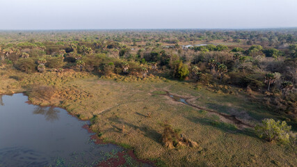 Close-up portrait of a giraffe in a wildlife sanctuary, highlighting its gentle expression and natural habitat.
