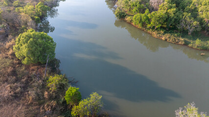 Close-up portrait of a giraffe in a wildlife sanctuary, highlighting its gentle expression and natural habitat.