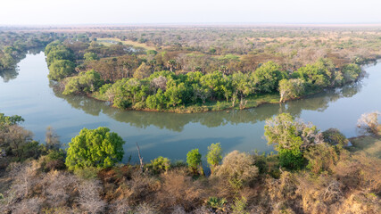 Close-up portrait of a giraffe in a wildlife sanctuary, highlighting its gentle expression and natural habitat.