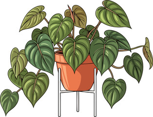 vining heartleaf delight modern botanical art for contemporary green interior concepts, isolated on transparent background