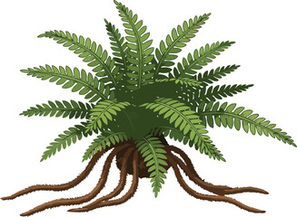 verdant undercurrent primal roots weaving earths story, a symbol of deep connection, isolated on transparent background