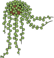 verdant strings a draped symphony of green spheres and natural flow, isolated on transparent background