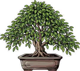 zens embrace potted artistry cultivating tranquility and enduring natural beauty, isolated on transparent background