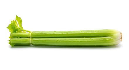Fresh celery stalk isolated on white background