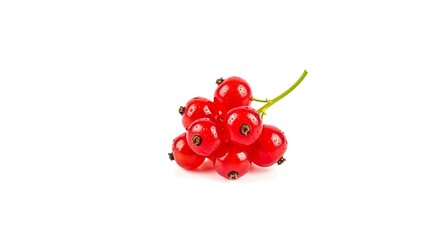 Cluster of fresh red currant berries isolated on white background