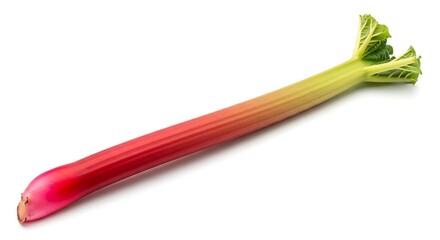 Single stalk of fresh rhubarb vegetable isolated on white background