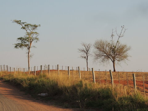 Path in the field - Ara&ccedil;atuba - Brazil