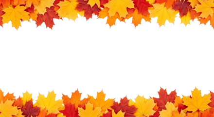 Colorful autumn maple leaves forming a vibrant border on a white background with ample empty space for text