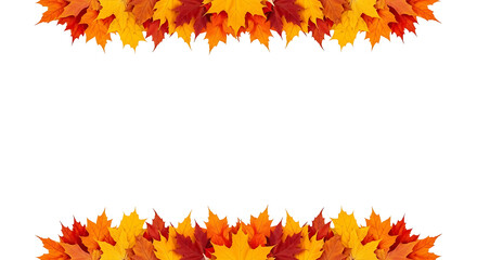 Fototapeta premium A seasonal concept of a fall border with vibrant red, orange, and yellow maple leaves arranged at the top and bottom on a white background