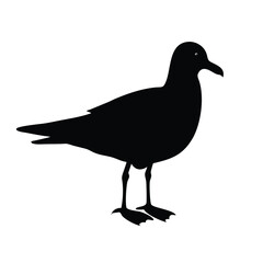 Obraz premium Seagull silhouette vector of black bird on white background isolated