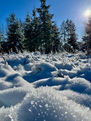 Eine Wanderung um Sophienhof (Harztor) vorbei am Dorfteich und dem S&ouml;ddelbach mit ausblicken zumBrocken und dem Carlshausturm