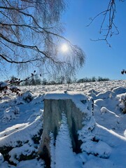 Eine Wanderung um Sophienhof (Harztor) vorbei am Dorfteich und dem S&ouml;ddelbach mit ausblicken zumBrocken und dem Carlshausturm