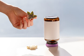 Hand holds a small succulent beside an upright amber jar with white label and purple cap; soft light, copy space and capsules suggest vitamin health, nature and balanced lifestyle.