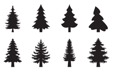 Fototapeta premium set of Douglas Fir tree vector silhouette illustration isolated on white background