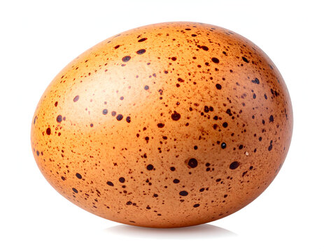 Speckled Egg's Simplicity: A single, organically patterned egg with speckled spots on a neutral backdrop, representing simplicity and the raw form of life's foundation.
