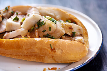 rustic vietnamese roast pork bahn mi sandwich