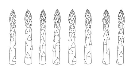 Line drawing of eight asparagus spears in a row, with detailed tips and leaves.