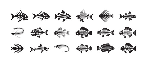 Collection of various fish skeletons and detailed fish bone structures in black and white