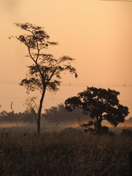 Sunset in Ara&ccedil;atuba - S&atilde;o Paulo - Brazil