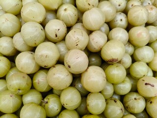 Close up shot of pile of fresh Indian gooseberry. 