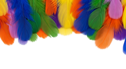 A vibrant border of multicolored craft feathers in rainbow colors like red, blue, green, and yellow, isolated on a clean white background with ample copy space for text