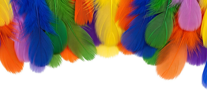 A vibrant border of multicolored craft feathers in rainbow colors like red, blue, green, and yellow, isolated on a clean white background with ample copy space for text