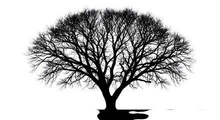 Black silhouette tree stands against white glow, creating contrast. Use for nature posters, abstract backgrounds, and digital art.