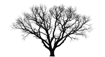 Black & White Tree Illustration shows winter, nature. Use for posters, branding, backgrounds.