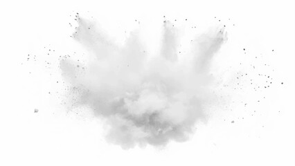 White paint color powder explosion. White powder explosion creating a dynamic cloud effect on a white background for creative projects.