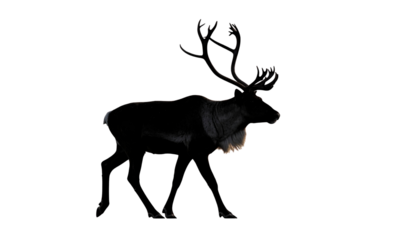 deer silhoElegant black deer silhouette vector with large antlers. Clean minimal design on transparent background. Perfect for Christmas cards, winter logos & holiday decorations.uette vector