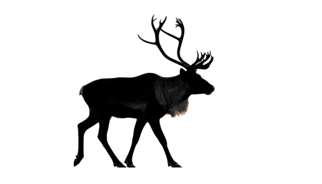 deer silhoElegant black deer silhouette vector with large antlers. Clean minimal design on transparent background. Perfect for Christmas cards, winter logos & holiday decorations.uette vector