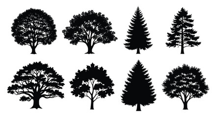 Fototapeta premium Set of tree silhouettes, different types of oak, maple, and pine trees, collection of black forest and park icons isolated on a white background