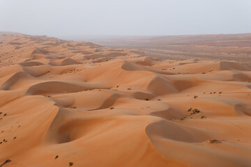 sand dunes in Wahiba (Sharqiya) Sands, which is a large desert in the east of Oman; Abstract photo for wallpaper
